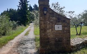 Casa Degli Ulivi - Cottage With Swimming Pool